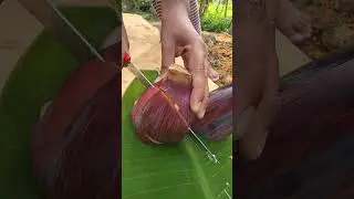 Traditional Banana Blossom Cutting | Relaxing Village Vibes#village