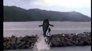 Free Willy Movie Trailer 1993 - TV Spot