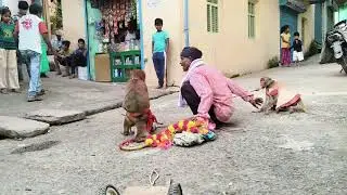 khel madari ka