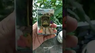 Eco Farming Pupuk Organik Untuk Segala Jenis Tanaman