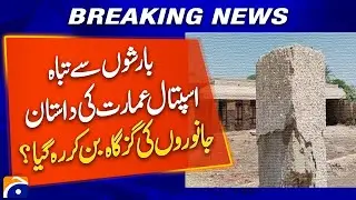 Shocking Flood: 𝗛𝗼𝘀𝗽𝗶𝘁𝗮𝗹 𝗕𝗲𝗰𝗼𝗺𝗲𝘀 𝗥𝗲𝗳𝘂𝗴𝗲 𝗳𝗼𝗿 𝗔𝗻𝗶𝗺𝗮𝗹𝘀 | Breaking News