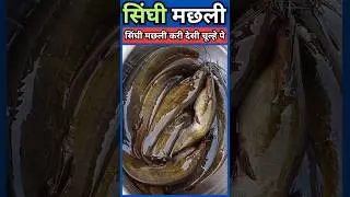 I will tell you how to make Singhi fish in the desi way, I wish I knew it was so tasty. Singhi Fish Curry At Home #shorts