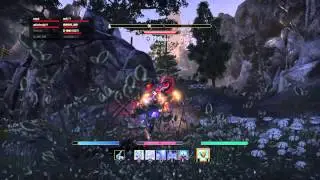 ESO legendary Sorcerer ultimate tank solo loth'na Deleve