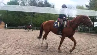 Dressuurproef ruitershoeve