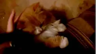 VID 20100101 201725