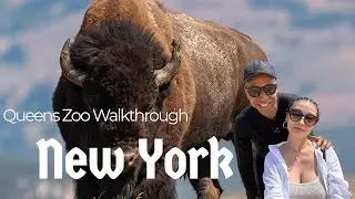 Queens Zoo Walkthrough 🇺🇸