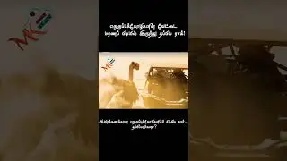 ​நெருப்புக்கோழிகளின் வேட்டை#ai#aishorts#aivideo#stroytime#tending#mkstoryfilms #tending#tendingvideo