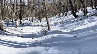 Portage Lower Baraga to Upper Baraga - McCormick Wilderness 
