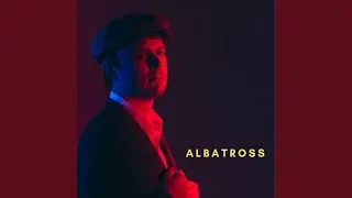 Albatross