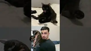 Познакомьтесь с моей собакой 🤔