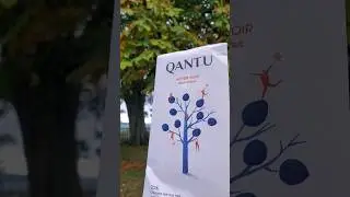 Chocolate with Walnuts Qantu Chocolat #chocolate #walnuts #qantuchocolate #chocolat