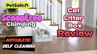 Обзор автоматического комкующегося лотка для кошек PetSafe ScoopFree | Умный выбор