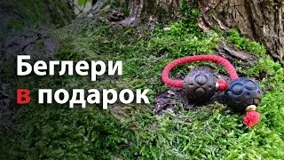 Беглери в подарок