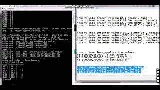 Ternary video