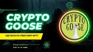 Где искать Free Mint NFT? Как быстро и легко получить ВЛ/WL?