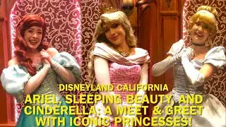 Ariel, Sleeping Beauty, and Cinderella: A Meet & Greet with ICONIC Disneyland Princesses! #disney
