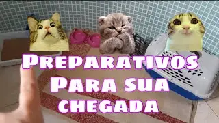 Adotei outro gatinho!! - Preparativos e Adaptação.