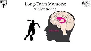 Tricky Topics: Biological Basis of Memory
