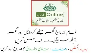 How to use Baldia online App | How to apply Birth Certificate with Baldia online