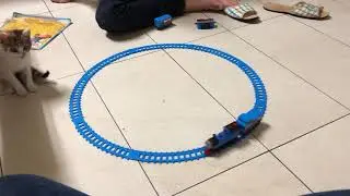 湯瑪士小火車vs巨貓