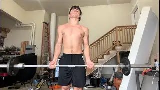 Day 7-chest & arms