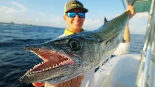 EPIC Kingfish +Sailfish! Catch Clean Cook  (Smoked Fish Dip)