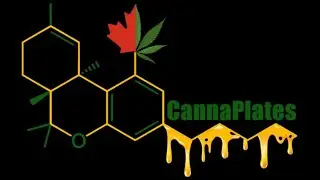 Fixing your CannaPlates controller