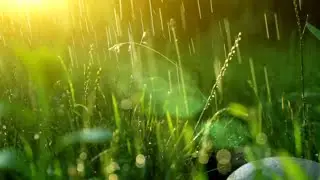copyright free music | copyright nature video free download | copyright free nature video download