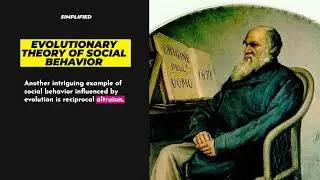 Evolutionary Theory of Social Behavior #simplified #psychology #sociology