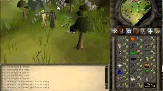 Noley | Runescape 2007 | 1-99 Hunter Guide