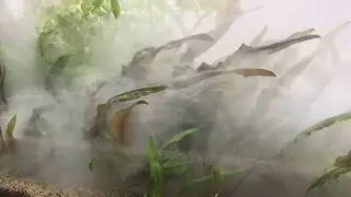 Freshwater Micro Bubble Scrubbing