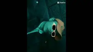 #shortvideo #youtubeshorts #music #shortcontent #trending #viralvideo #viral #agra #growth #millon