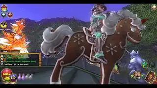 Wizard101: New Gingerbread Pack