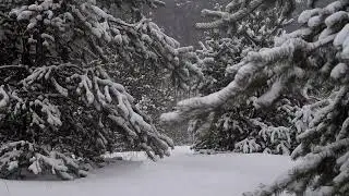 🎄 Cozy Christmas Eve Vibes  Festive & Joyful Holiday Music 🎺✨