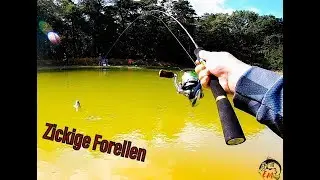 Zickige Forellen in den Niederlanden oder Forellenangeln mit Spoon und Gummi Trout JARA