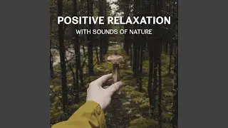 Body and Mind Connection