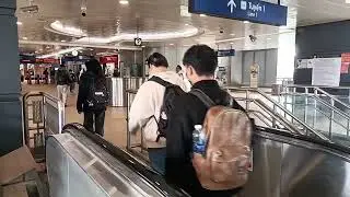 Go sightseeing on the train