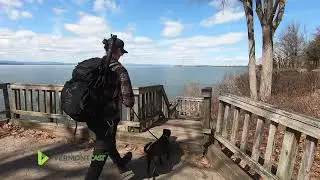 Great Dog Friendly Adventures In Vermont!