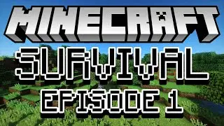 I Have Never Beaten Minecraft... | Minecraft Survival ep. 1