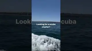 Looking for a Scuba Diving Charter in San Diego?