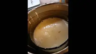 Instant Pot Oatmeal with Egg White