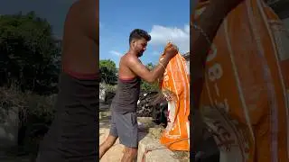 PLEASE SUBSCRIBE ME BHAI BHAI LOG 🫵🏻✅#cow #farming #trending #shortvideo #youtubevideo