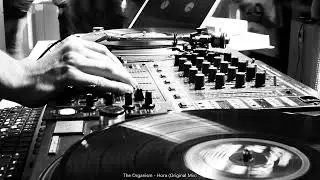 The Organism - Hora (Original Mix)