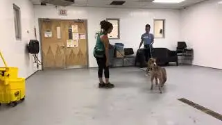 Sprout and coconut