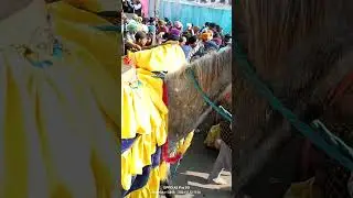 Sheedi Jod Mela Shri Chamkaur Sahib 22-12-2024 Last Day.