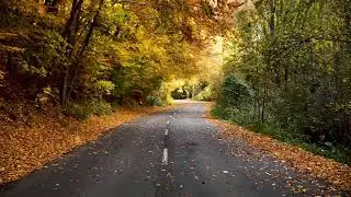 15 minutes relaxing MUSIC for Working From Home