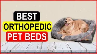Top 5 Best Orthopedic Pet Beds From On Aliexpress