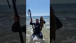 &Pi;ί&gamma;&kappa;&alpha; 4&kappa;&iota;&lambda;ά &Mu;&omicron;&upsilon;&kappa;&tau;ά&rho;&epsilon;&nu;&alpha; &tau;&omicron;&upsilon; &Alpha;&kappa;ά&mu;&alpha;