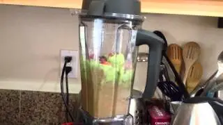 Vitamix 6300