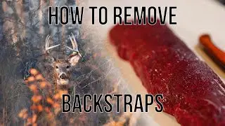 How to Remove a Deer Backstrap